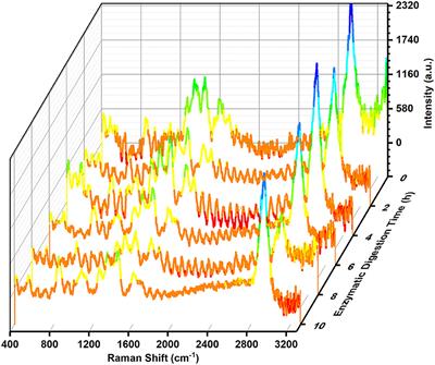 Degradation of soybean meal proteins by wheat malt endopeptidase and the antioxidant capacity of the enzymolytic products